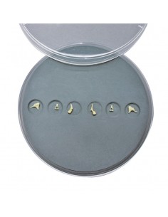 Juego de huesos del oído,...