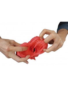 Modelo educativo de corazón...