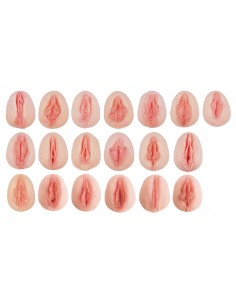 Colección de 19 modelos de...