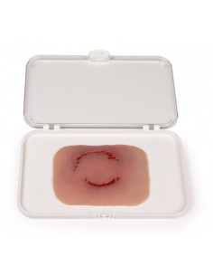 Moulage y simulación de...