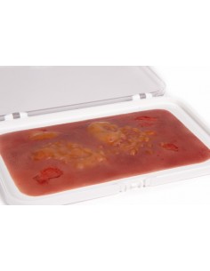 Moulage y simulación de...