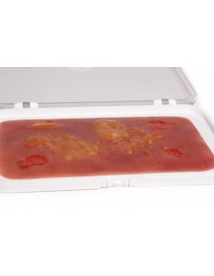 Moulage y simulación de... 2