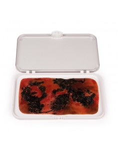 Moulage y simulación de... 2