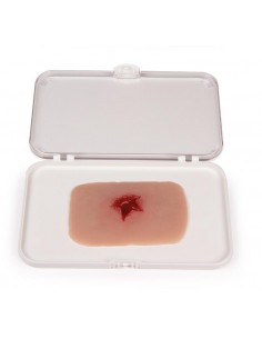 Moulage y simulación de...