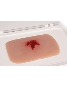 Moulage y simulación de... 2