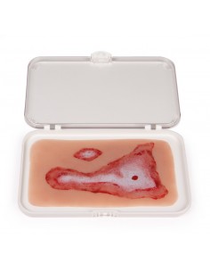 Moulage y simulación de... 2