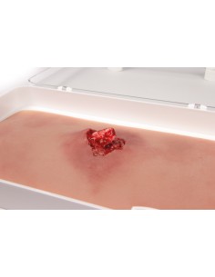 Moulage y simulación de...