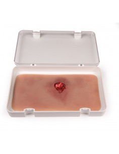 Moulage y simulación de... 2