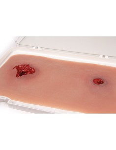 Moulage y simulación de una...