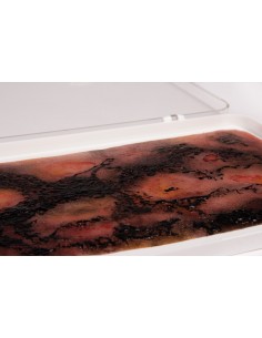 Moulage y simulación de...