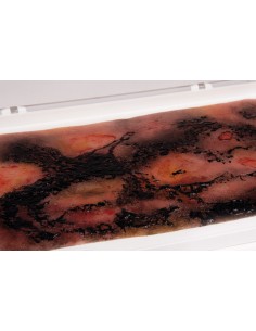 Moulage y simulación de... 2