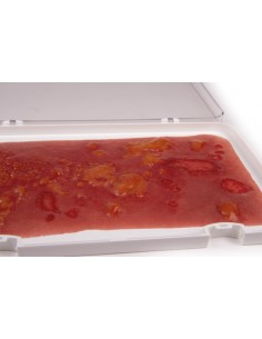 Moulage y simulación de...