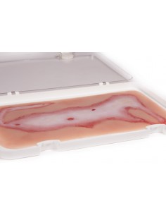 Moulage y simulación de...