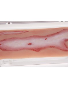 Moulage y simulación de... 2