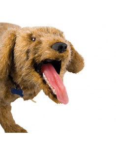 Maniquí de perro para...