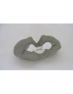 Erler Zimmer, modelo...