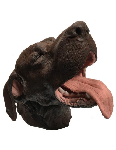 Simulador de odontología veterinaria... Simulador de odontología veterinaria...