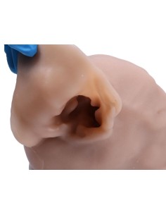 Simulador de otoscopia...