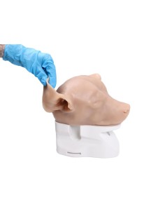 Simulador de otoscopia... 2