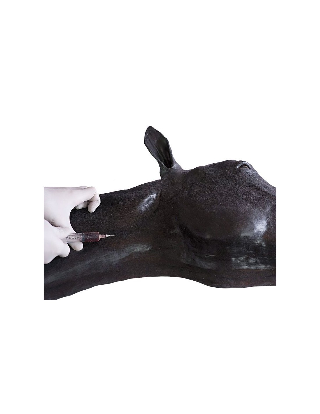 Simulador de cabeza de caballo Erler... Simulador de cabeza de caballo Erler...