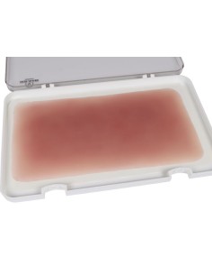 EZ-NW120 Moulage para...