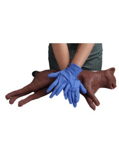 Simulador de gato para... 2