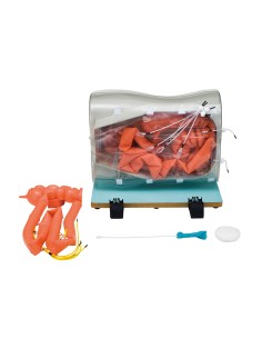 Extensión de intestino...