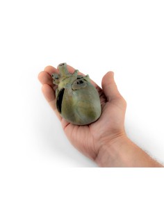 Corazón de perro con...